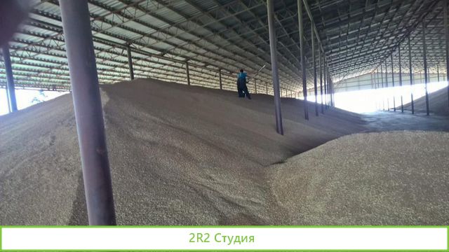 Зерновая компания экспорт пшеницы Готовый бизнес