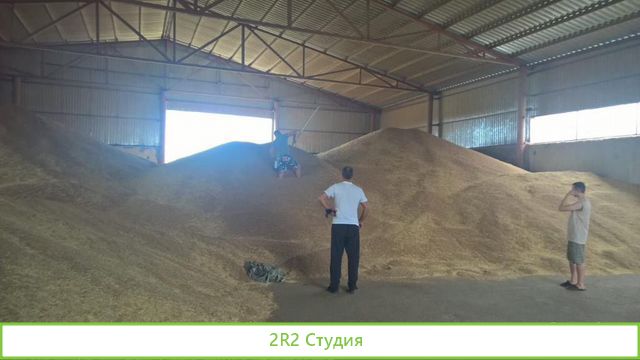 Зерновая компания экспорт пшеницы Готовый бизнес