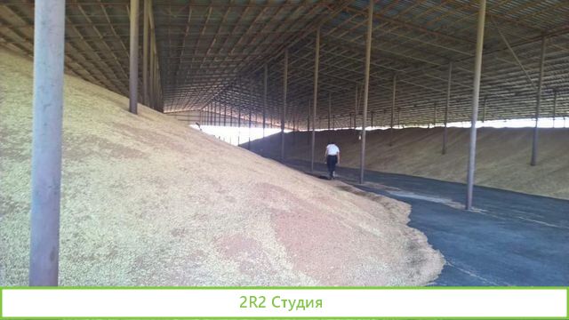 Зерновая компания экспорт пшеницы Готовый бизнес