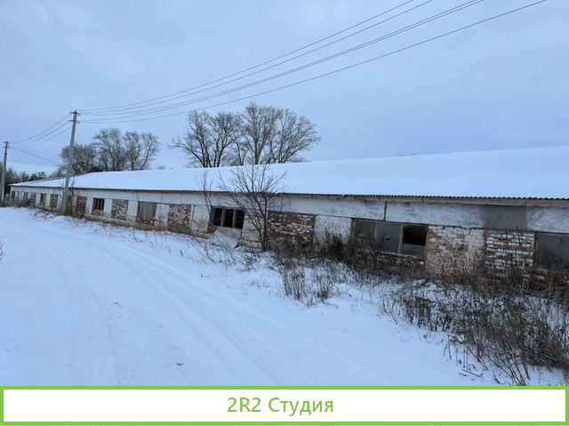 Животноводческая ферма