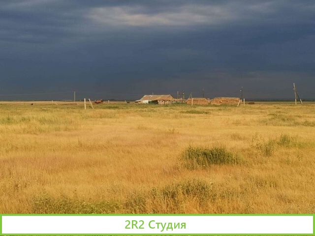 Животноводческая ферма со скотом