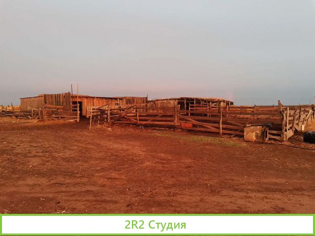 Животноводческая ферма со скотом