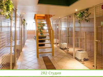 Зоогостиница груминг. Прибыль 110 000р