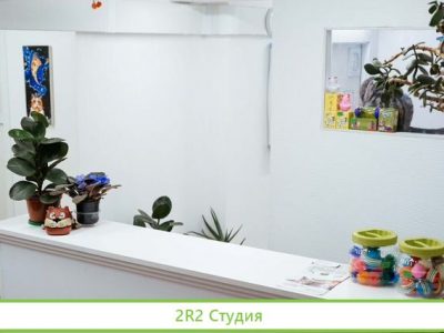 Зоогостиница и Зоосалон