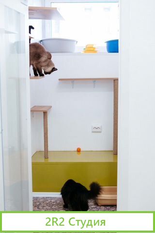 Зоогостиница и Зоосалон