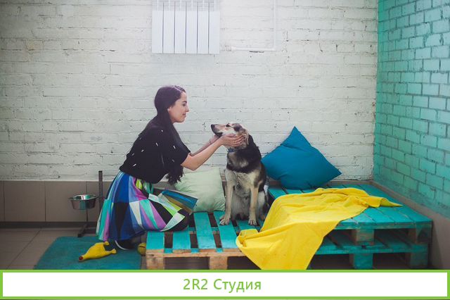 Зоогостиница и зоосалон в Приморском р-не