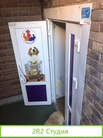 Зоомагазин