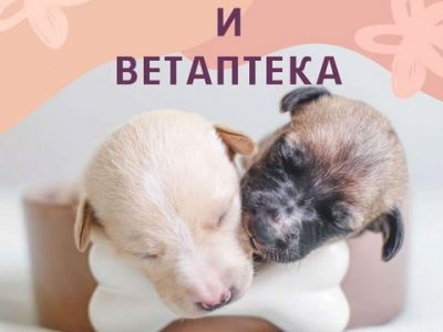 Зоомагазин и ветаптека