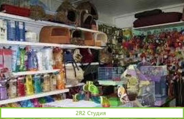 Зоомагазин на первом этаже в ТК/ Бизнесу 2,5 лет