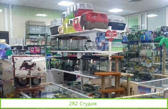 Зоомагазин на первом этаже в ТК/ Бизнесу 2,5 лет